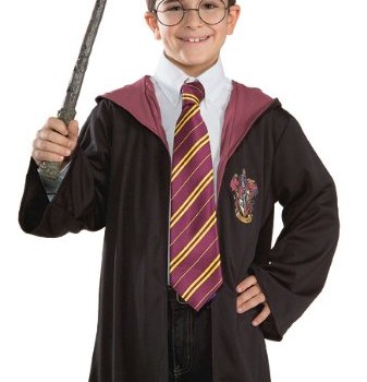 Harry Potter Tie Costume Accessory image