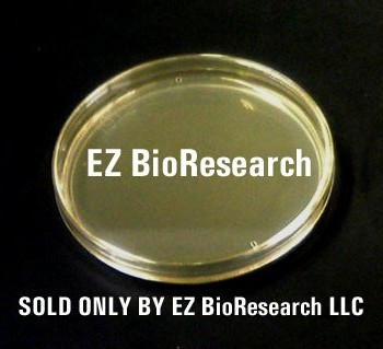 EZ BioResearch Pre-poured Agar Plates and Swabs, 10 plates & 10 swabs image